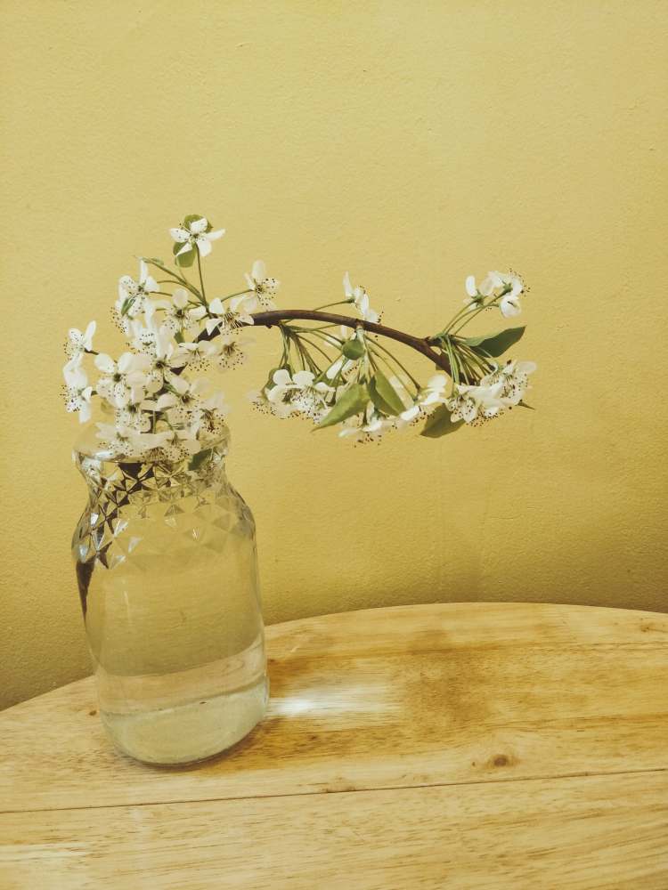 91117217_2502336200081370_8853132859368538112_n